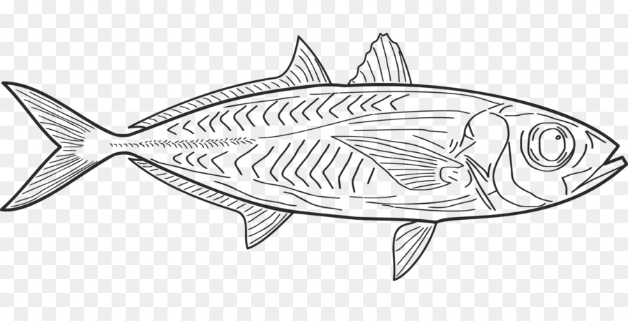 Line-art Zeichnung Sardine Malbuch - Tinte Fisch