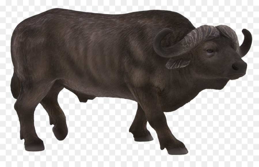 Büffel-amerikanischer bison afrikanischer Elefant Amazon.com afrikanischer Büffel - Spielzeug