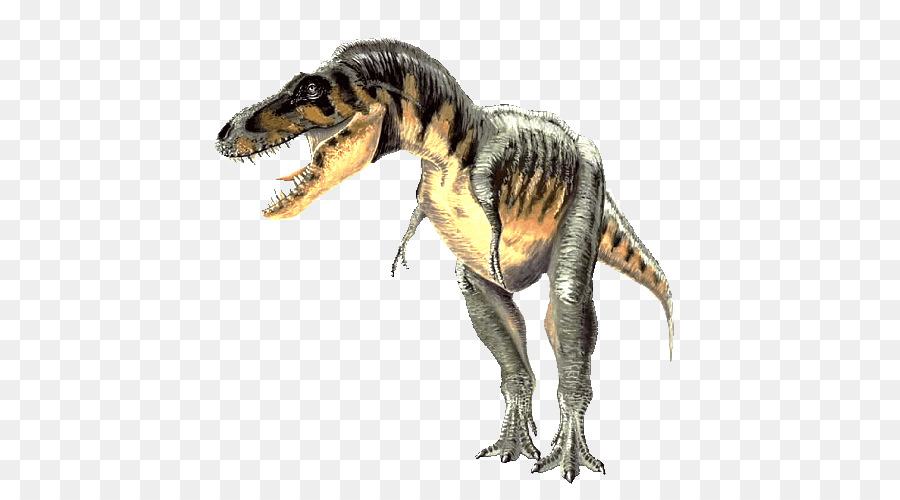 Carcharodontosaurus Tarbosaurus Spinosaurus Tyrannosaurus Gallimimus - Dinosauro