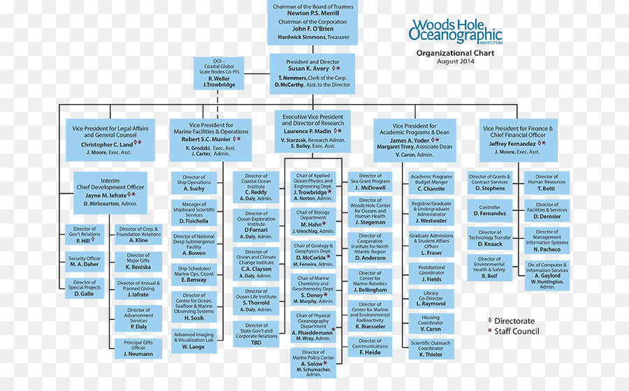 Organizational Chart Text png download - 1435*981 - Free
