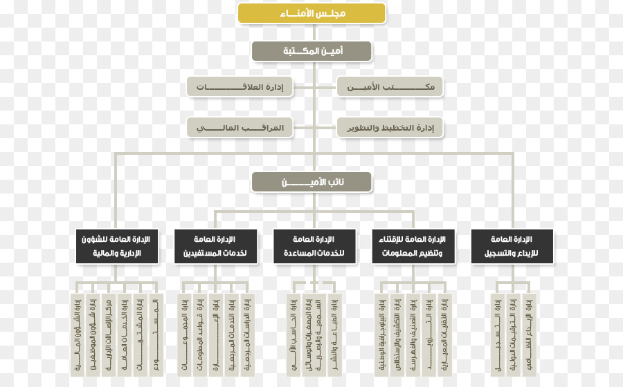 Organisationsstruktur Organisationstheorie König Fahd Nationalbibliothek - Artikel