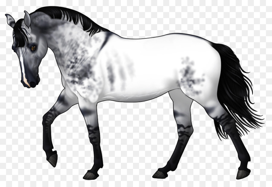 Ngựa Mustang Con Ngựa Mare Colt - mustang