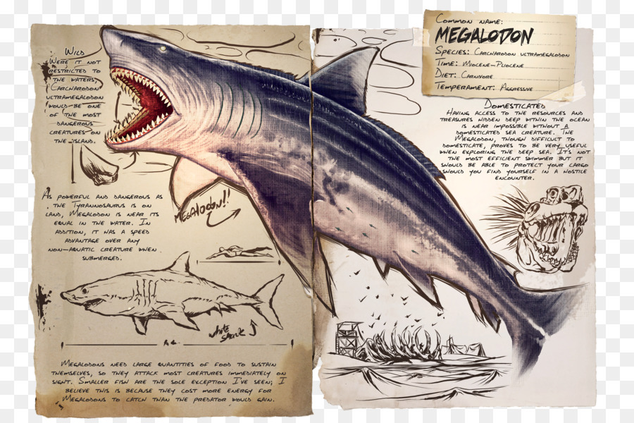 ARCA: la Sopravvivenza Evoluto Squalo Megalodon Parasaurolophus Pteranodonte - squalo