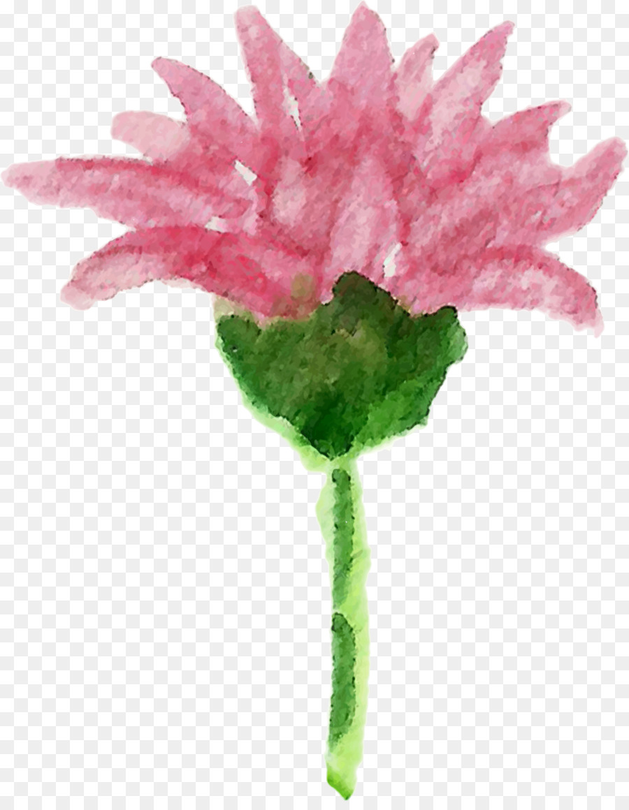 Nelke, Schnittblumen, Pflanzen Stammzellen der Rosa Blütenblatt M - Blatt