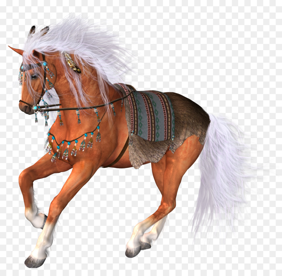 Cavallo PhotoScape Clip art - cavallo