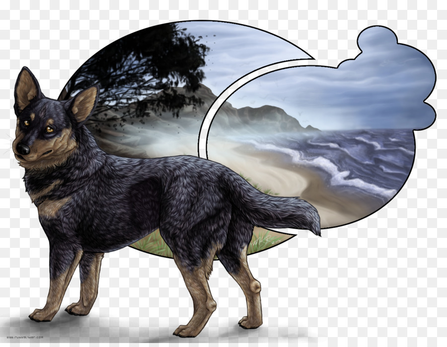 Đức Chăn Bò Úc Chó Stumpy đuôi bò chó côn Minh giống chó giư trừu thu Nhỏ Mỹ Shepherd - con chó con