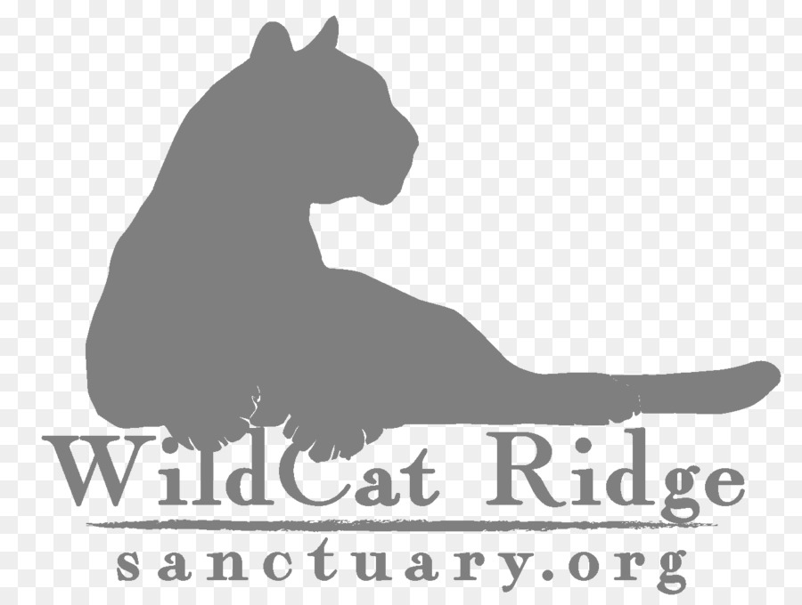 Cane Wildcat Di Pino Nero Di Origine Animale Santuario Bobcat - cane