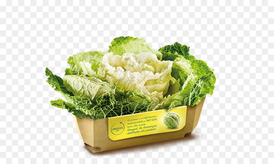 Romana-Salat wirsing Brokkoli Vegetarische Küche Frühling Grüns - Brokkoli