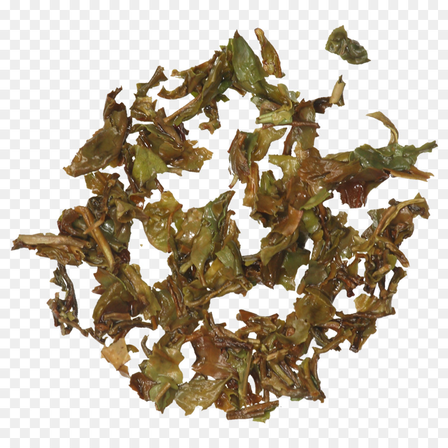 Nilgiri Tee Tieguanyin Tee-pflanze - andere
