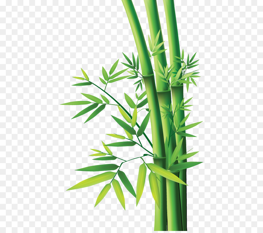 Tropical woody Bambus Bamboo Gemälde Bambus Textil - Bambus pflanze