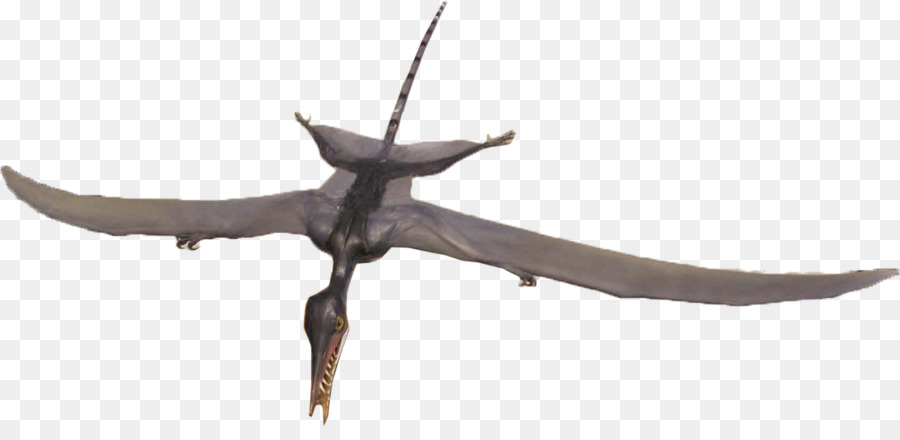 Rhamphorhynchus Calcare Di Solnhofen Archaeopteryx Tardo Giurassico - Piercing ago