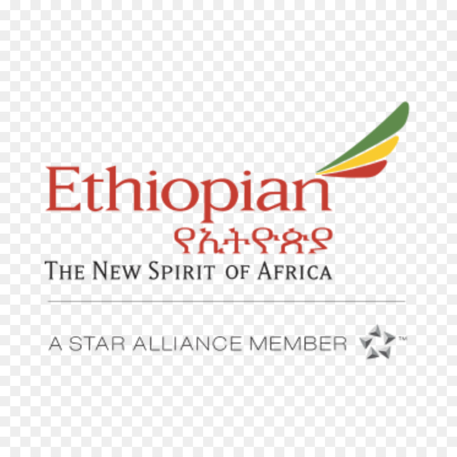 Addis Abeba-Ethiopian Airlines Nosy Be Aviation - Reisen