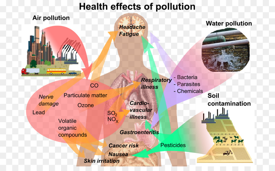 Gesundheitliche Auswirkungen der Luftverschmutzung Wasserverschmutzung - Gesundheit