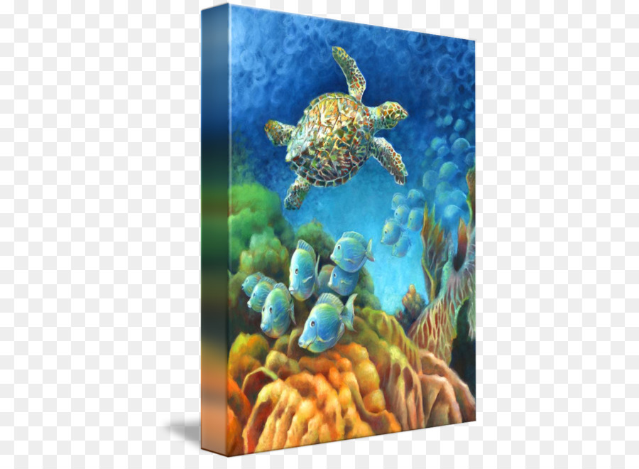 Loggerhead sea turtle Coral reef Fisch Unterwasser - Hawksbill Meeresschildkröte