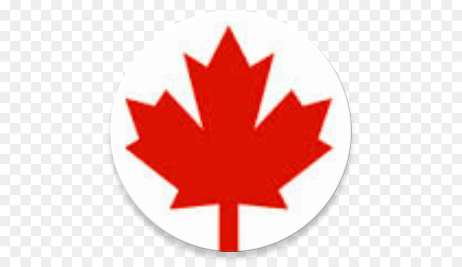 Flagge von Kanada Ahorn Blatt 150 jährige Jubiläum in Kanada - Sammlung Tipps