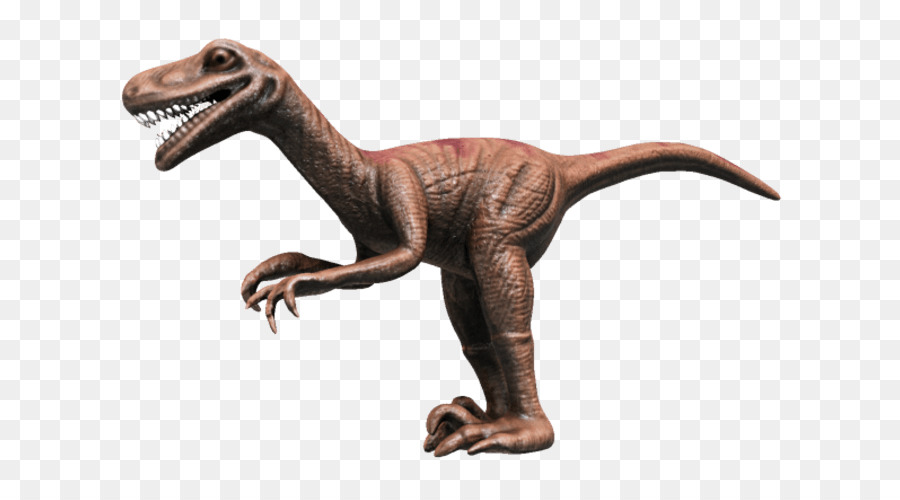 Velociraptor Compsognathus CGTrader Fronte D'Onda .file obj Rettile - Dinosauro