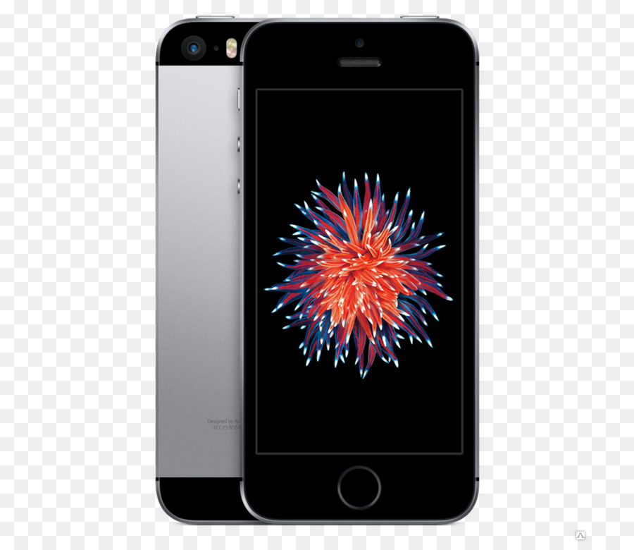 iPhone SE Apple sbloccato Telefono spazio grigio - Mela