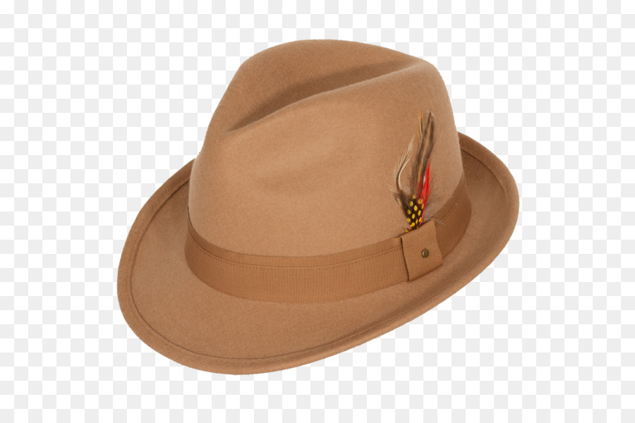 Fedora Wolle Levine Hat Co. Fleck - Hut