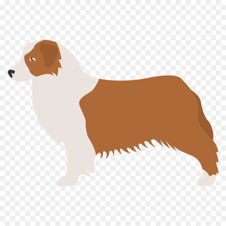 Con chó giống Bò Úc Chó Râu Giống con chó Đồng - Bón phân pi