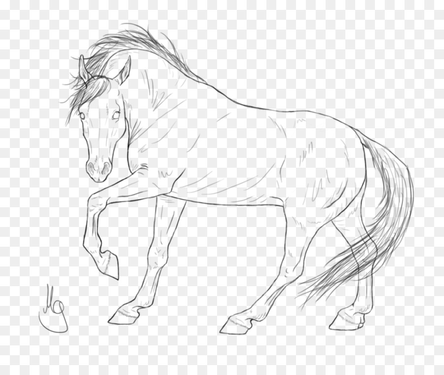 Bờm Dây Ngựa Mustang Kiềm - con ngựa ả rập