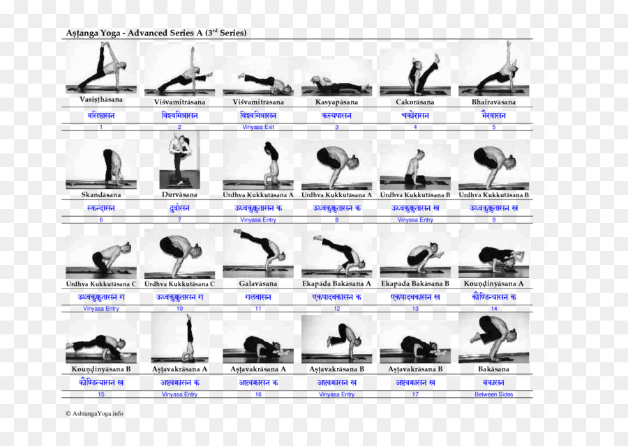 Năm nguyên tắc vinyasa yoga Vinyāsa Yoga Thế, loạt - yoga