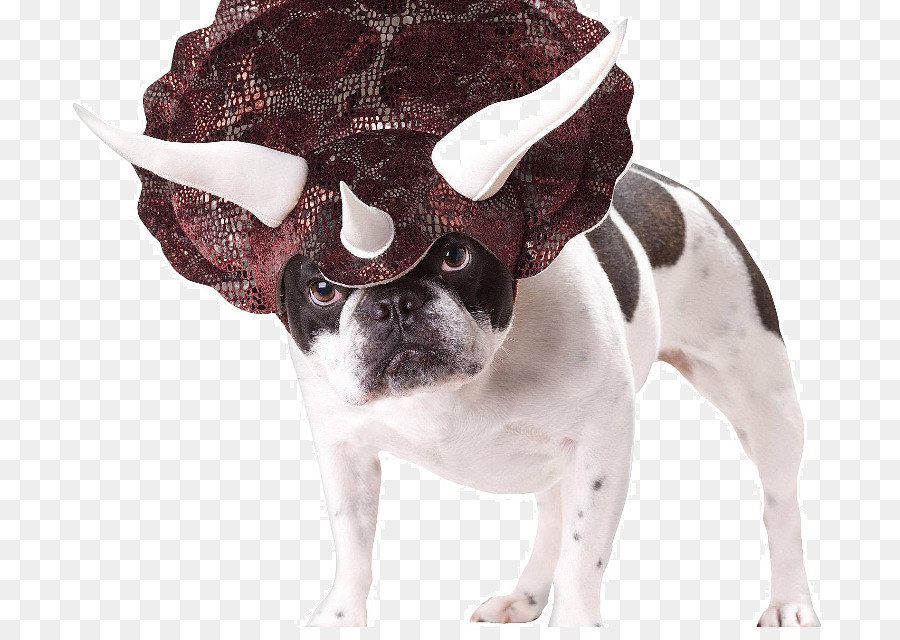 Triceratops-Hund Halloween-Kostüm Amazon.com - Hund