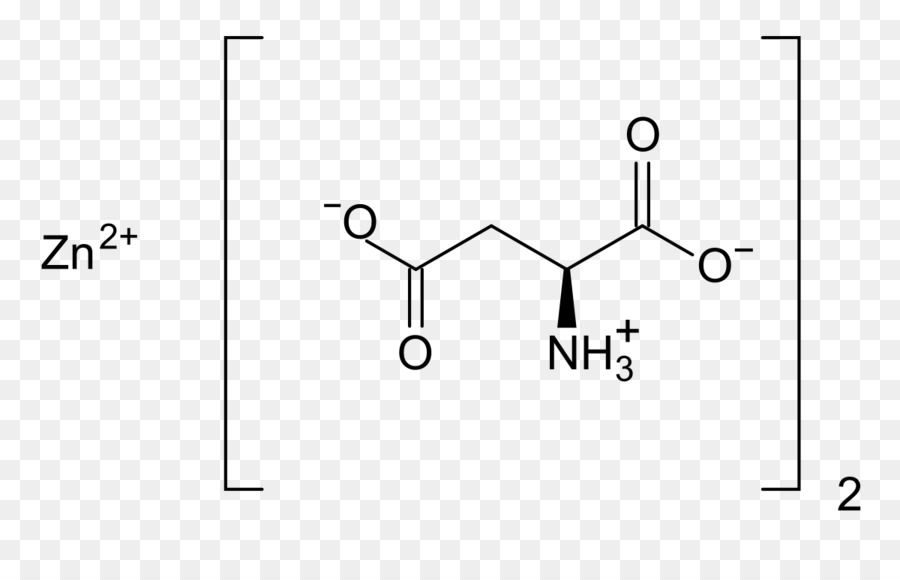 L'acido aspartico Zinco L-aspartato Magnesio aspartato Aspartato transaminasi - altri