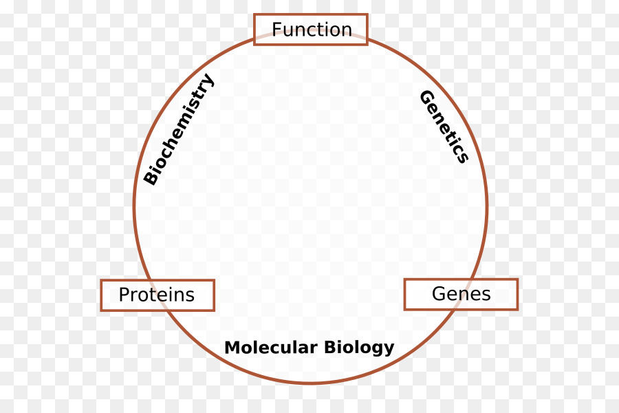 Biologia molecolare, Genetica, biologia Cellulare Molecola - Biologia molecolare
