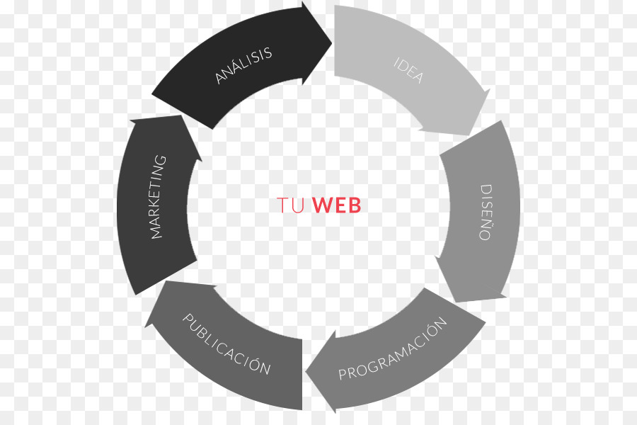 Anfibic Web Entwicklung Digital marketing Marke - Marketing