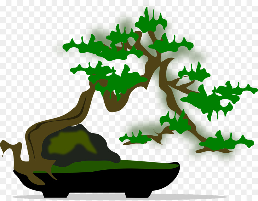 Cây Bonsai cây cảnh Clip nghệ thuật - cây