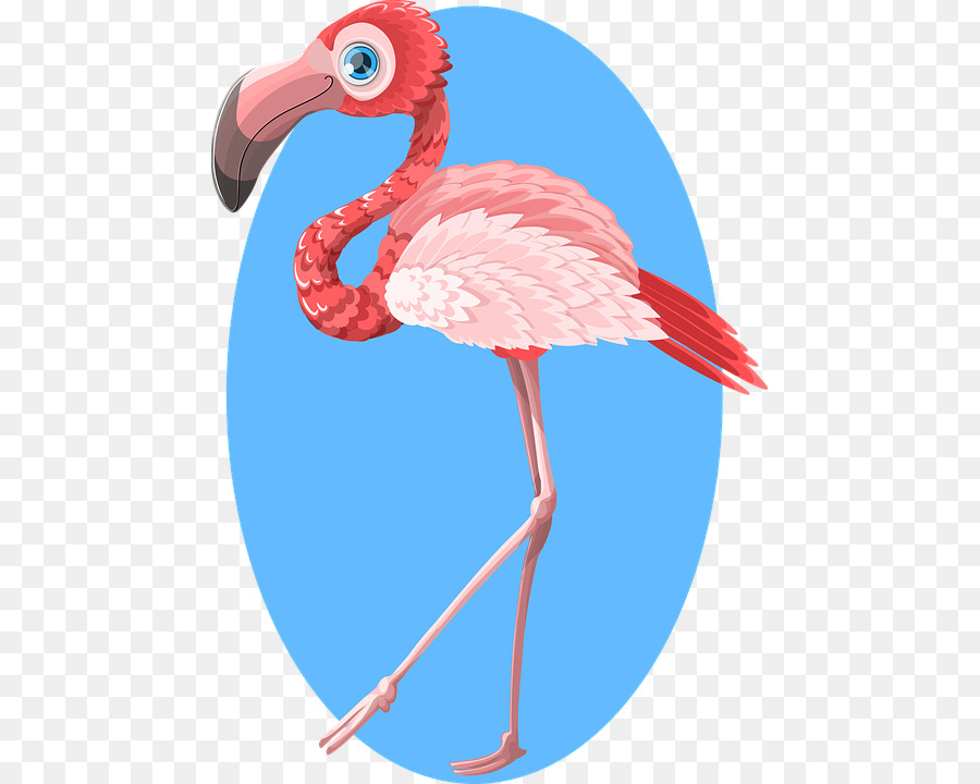 Flamingo Zazzle Geschenk-Vogel - Flamingo