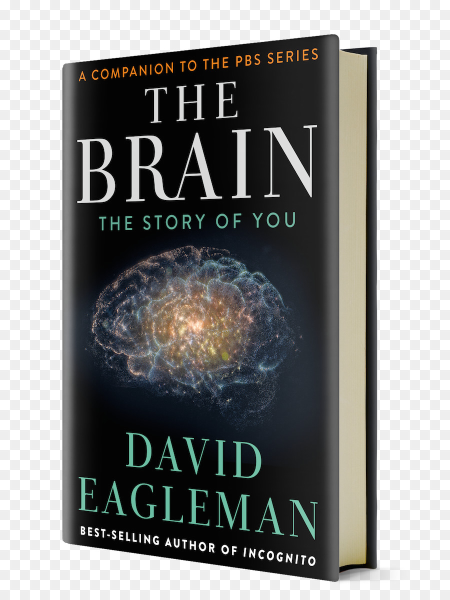 Das Gehirn: Die Geschichte, die Sie Inkognito: Die Geheimen Leben des Gehirns Das Menschliche Gehirn Buch Amazon.com - Gehirn