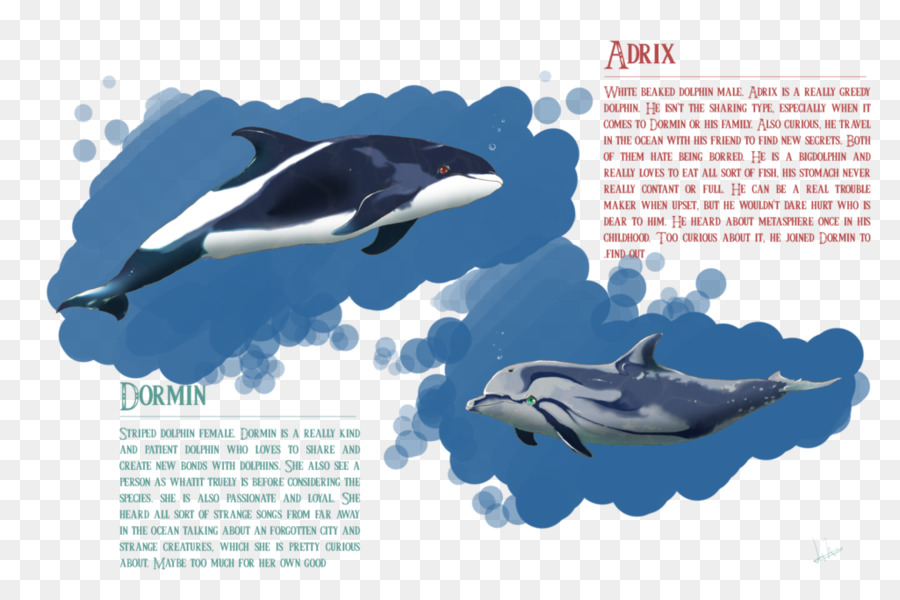 Mörder-Wal-Common bottlenose dolphin Wholphin Short-beaked common dolphin Tucuxi - Delphin