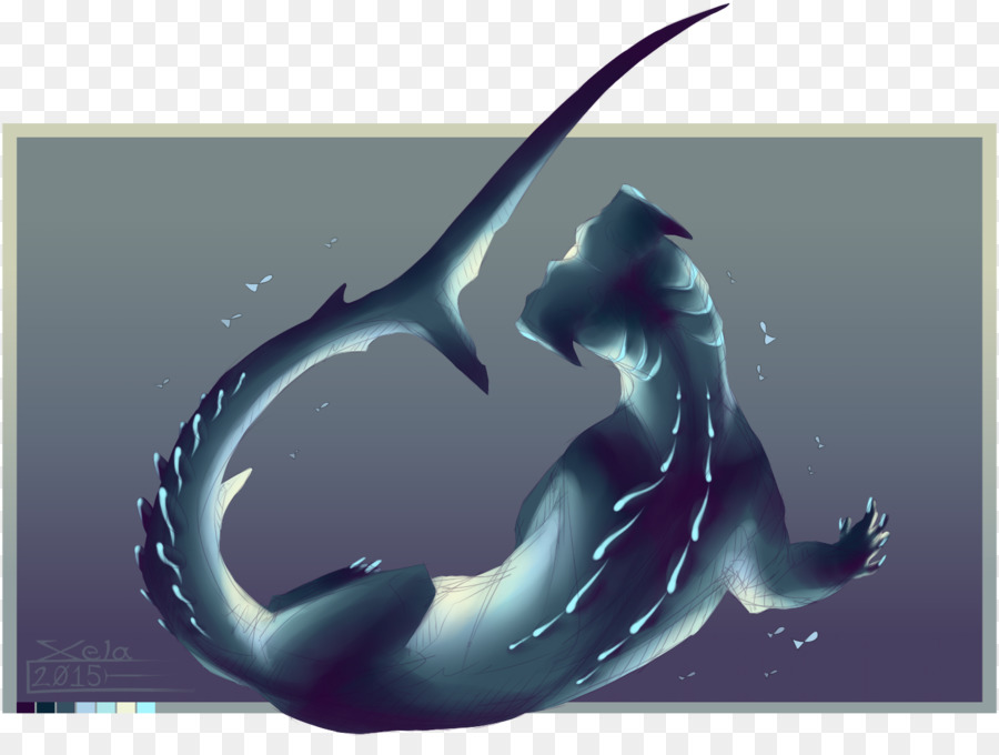 Dolphin Drago Squalo di biologia Marina Sfondo del Desktop - Delfino