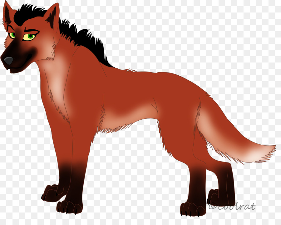Hund der Rasse Red fox Katze Schnauze - Hund