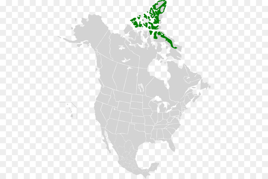 Kanadische arktische tundra arktische Küsten tundra Kalaallit Nunaat hohen arktischen tundra - andere