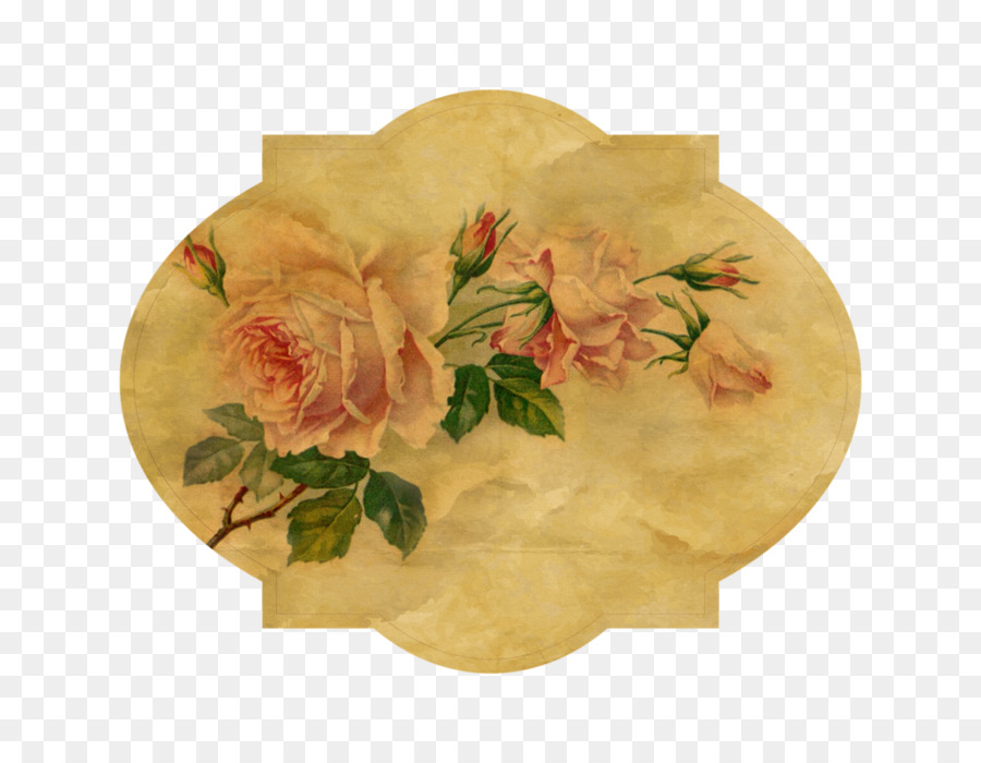 Quần áo cổ điển Vườn hoa hồng Hoa - Hoa hồng
