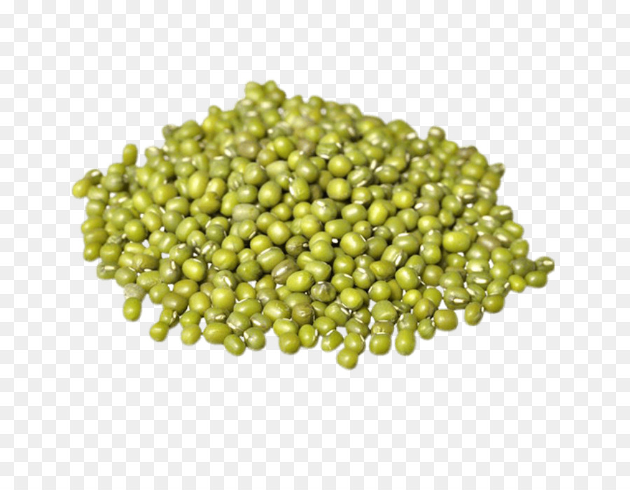 Sprießen Soybean sprout Bio-Lebensmittel Mungobohnen - mung Daal