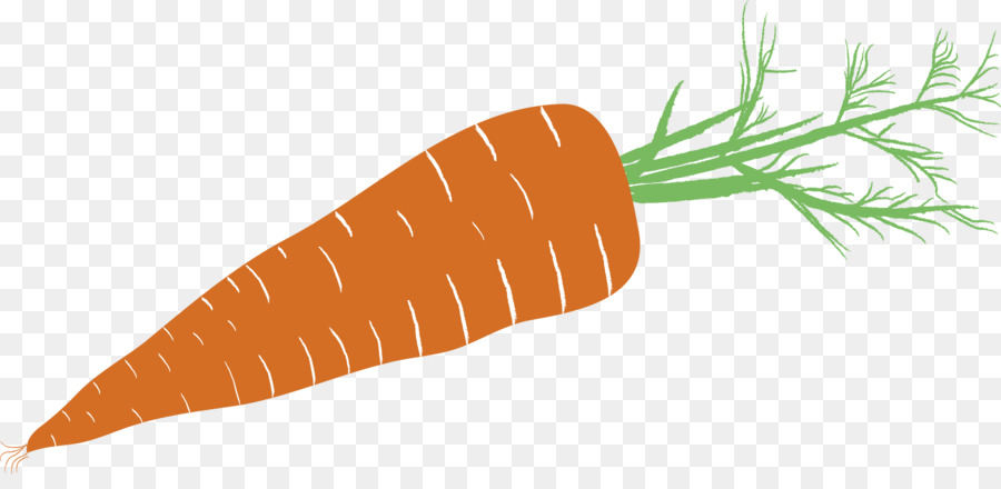 Baby-Karotten Zeichnung Piktogramm Gemüse - Karotte