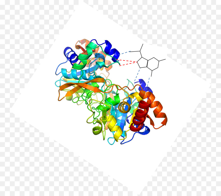 Kết cấu Protein Dòng Clip nghệ thuật - dòng