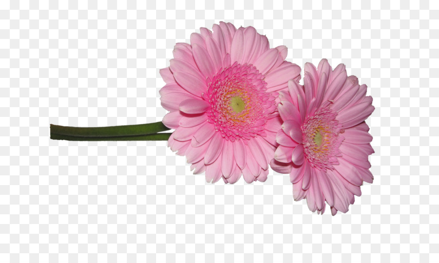 Schneiden Sie die Blumen Clip art - Blume