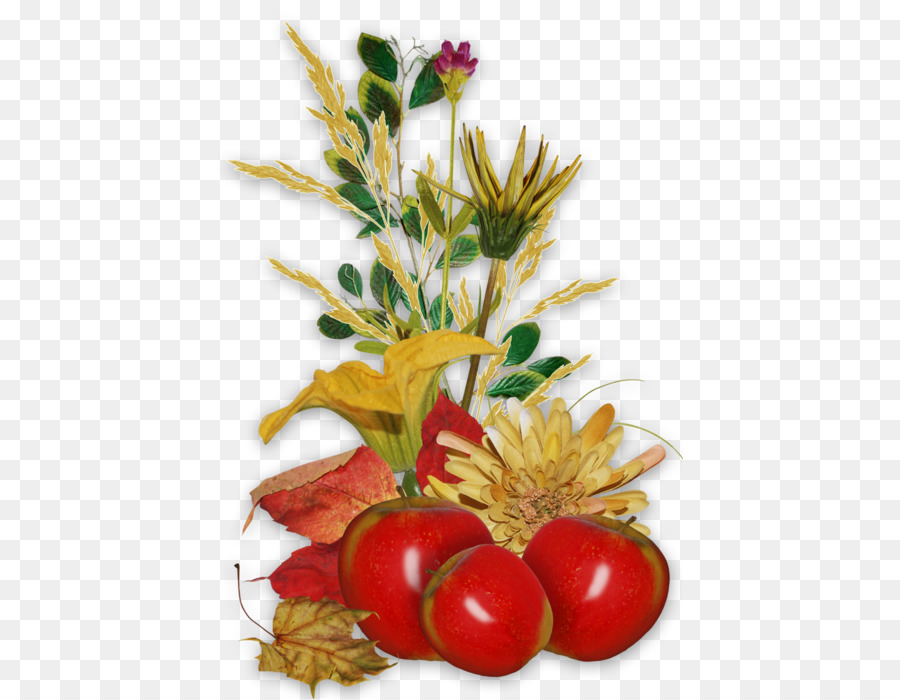 Nhật ký chụp Ảnh trái Cây Clip nghệ thuật - trái cây hoa