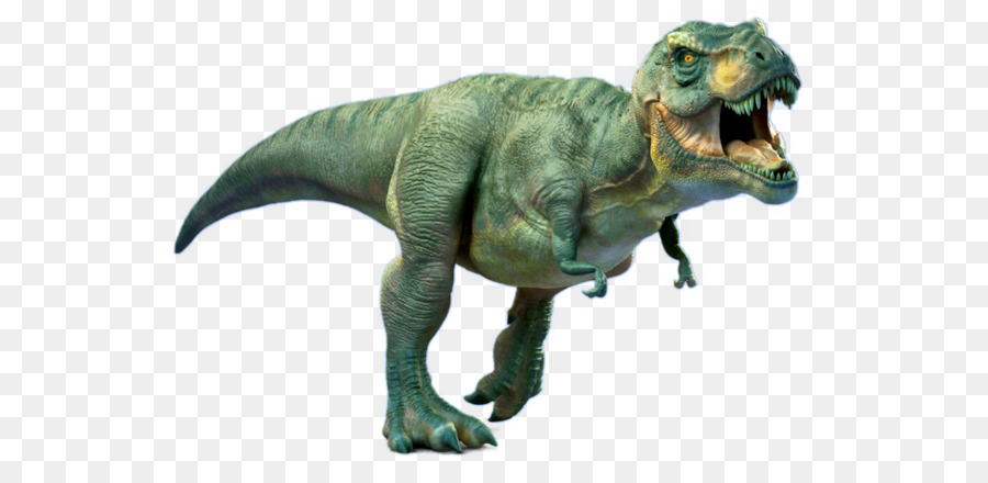 Tyrannosaurus Rộng Rãi Kỷ Phấn Trắng Velociraptor Động Vật Ăn Thịt: Thợ Săn Khủng Long Ãn Lá Cây - Khủng long