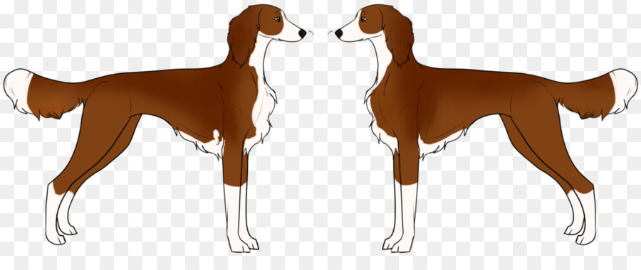 Cane di razza Azawakh Zampa di Clip art - rara razza di cane