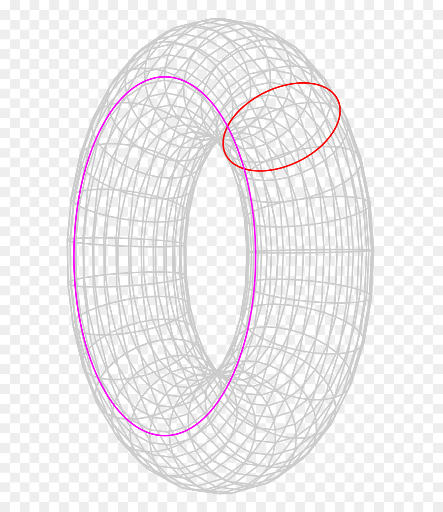 Poincaré Conjecture Circle