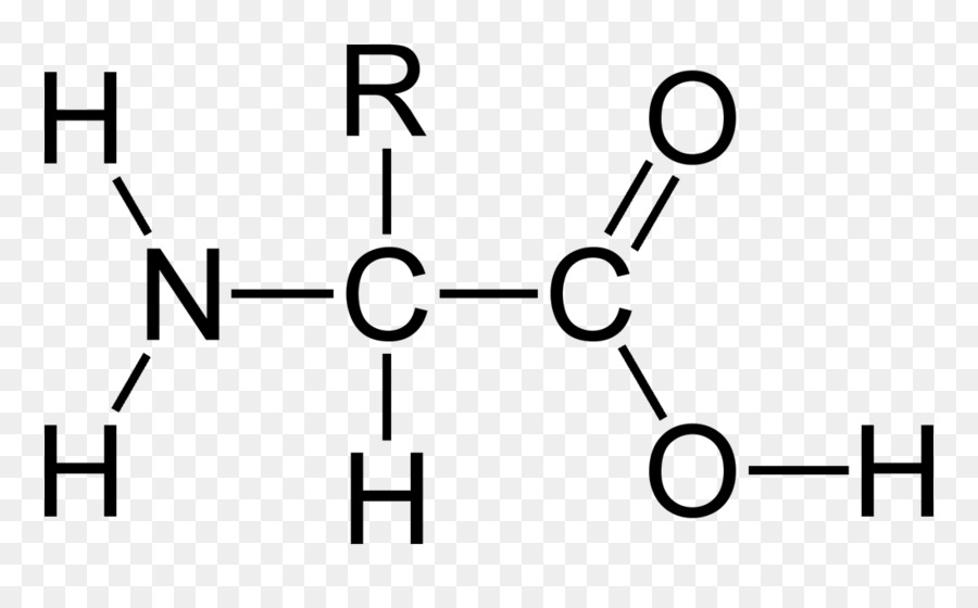 Acetico acido Ammino acido reazione Acido–base - altri