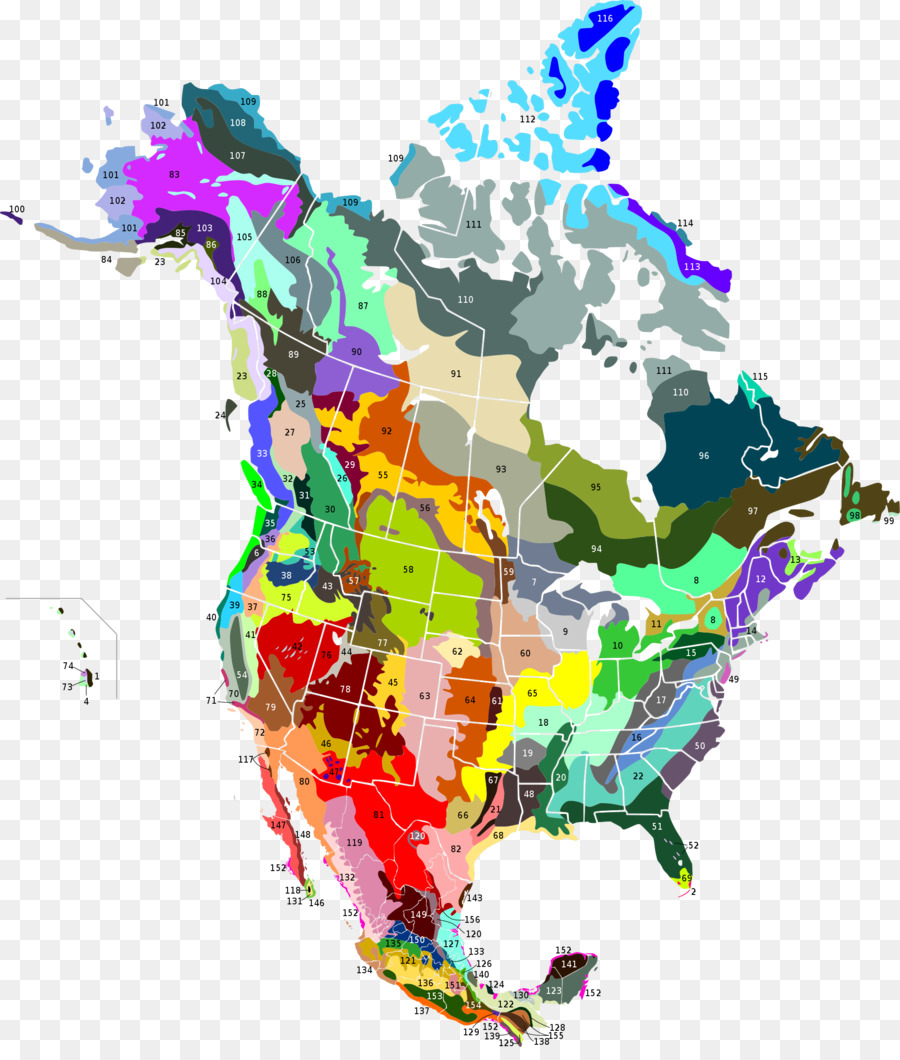 Vereinigte Staaten Kanada Geologie Ökoregion Kontinent - Vereinigte Staaten