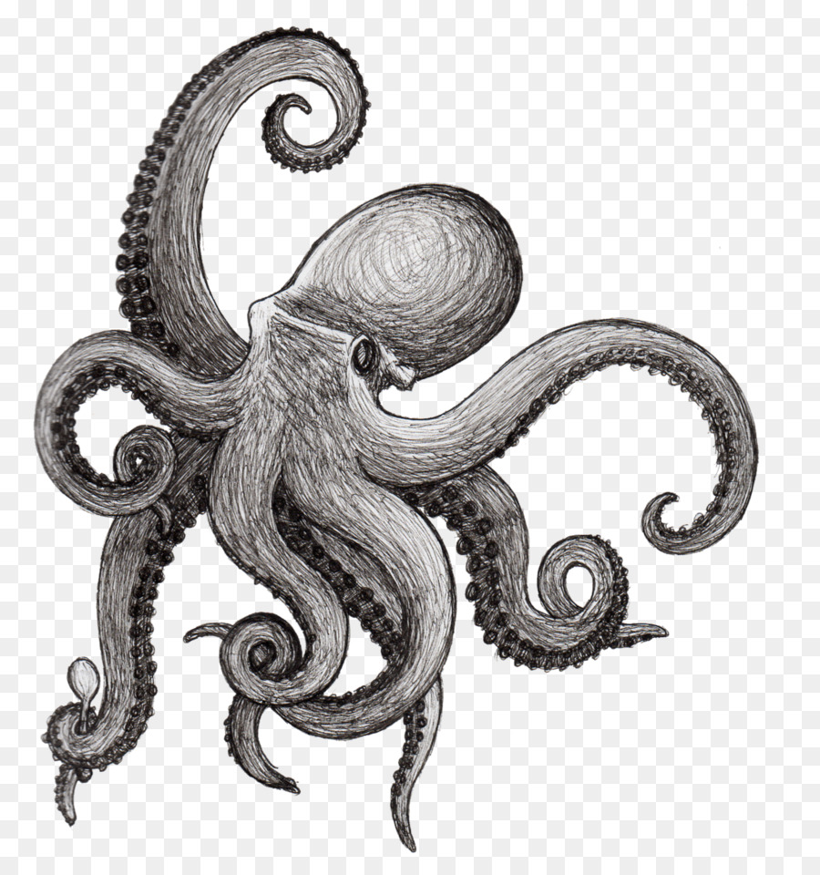 Oktopus Zeichnung Tintenfisch-Tattoo-Skizze - nun ist die Krake ist drei