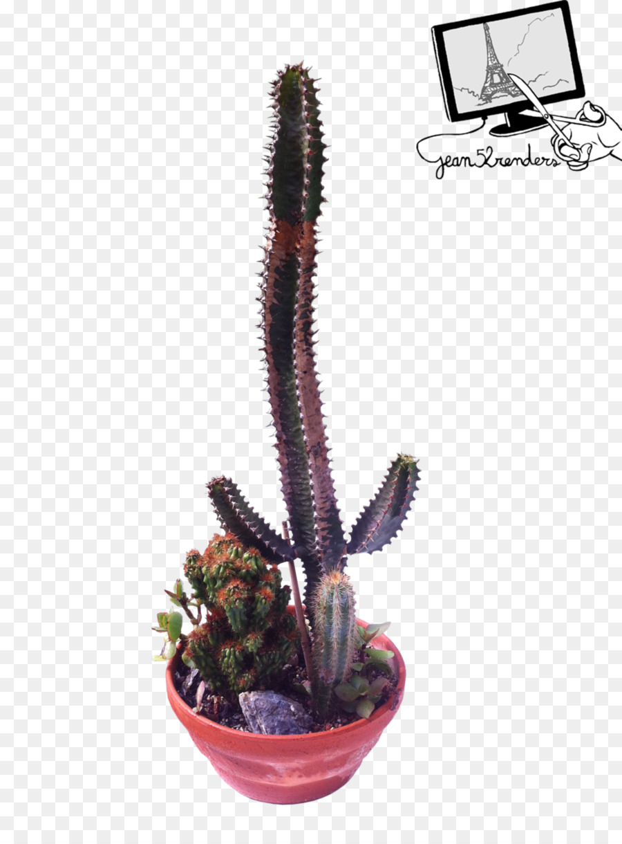 Citroën Cactus M Blumentopf - pflanze