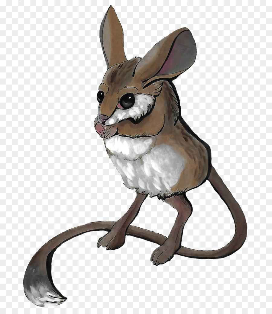 Thỏ trong nước Hare thuộc họ chân to màu Đỏ fox Râu - thỏ